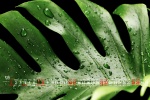 May 2022 dewdrops on the grass desktop calendar wallpaper