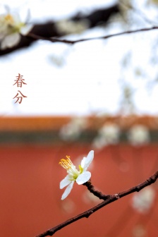 Forbidden City Vernal Equinox HD Wallpaper