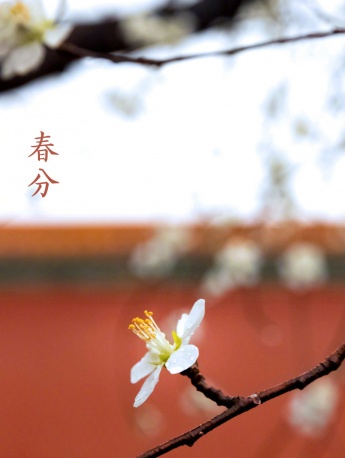 Forbidden City Vernal Equinox HD Wallpaper