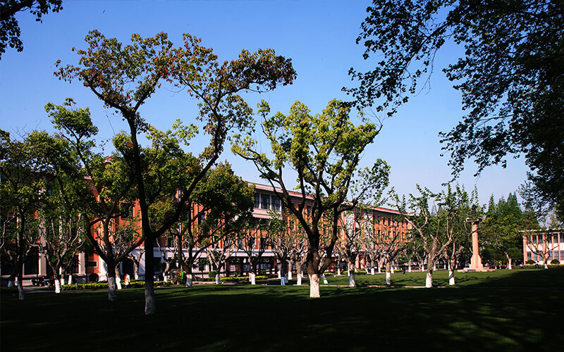 同济大学校园风景图片