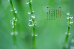 March 2022 Eye-Safe Desktop Calendar Wallpaper