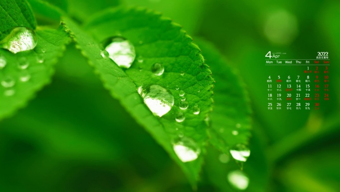 April 2022 green fresh desktop calendar wallpaper