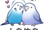 贴贴！小鸟依鸟