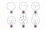 Rabbit simple drawing picture