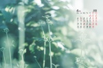 April 2022 green scenery eye protection computer calendar wallpaper