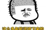这么多年能坚持下来的只有脱发表情包