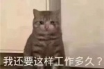 我还要这样工作多久？