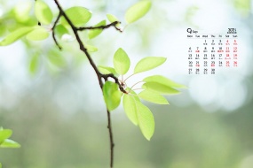 September 2021 small fresh natural scenery calendar wallpaper