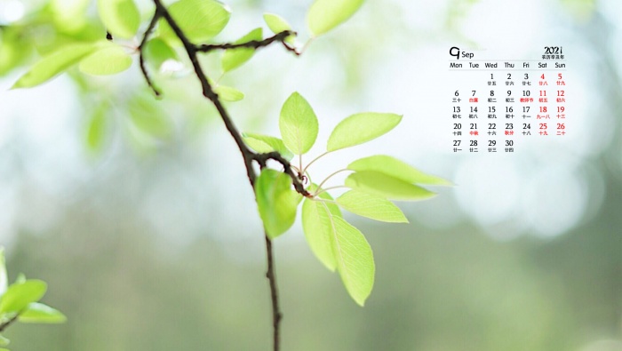 September 2021 small fresh natural scenery calendar wallpaper