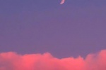 Pink and purple beautiful scenery without watermark mobile wallpaper