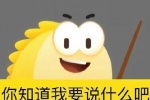 咸鱼你知道我要说什么吧表情包