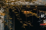 秋分節氣之園林風景唯美攝影圖片壁紙