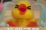 Summary of little yellow duck emoticons