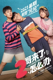 電影《二哥來了怎麼辦》海報圖片
