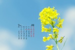 March 2022 yellow flowers fresh desktop calendar wallpaper