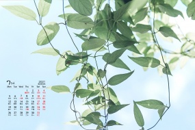 Eye-protecting green landscape desktop calendar wallpaper for July 2021