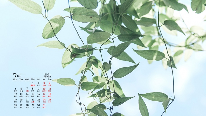 Eye-protecting green landscape desktop calendar wallpaper for July 2021