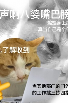 Ghastly cat emoticon pack