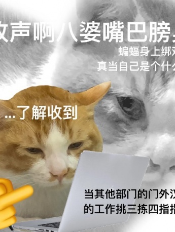 Ghastly cat emoticon pack