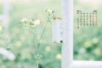 February 2022 park flowers and leaves desktop calendar wallpaper