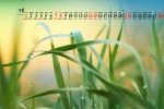 May 2022 dewdrops on the grass desktop calendar wallpaper