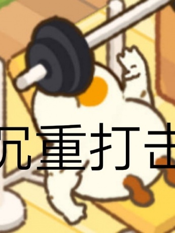 Fat Goose Daily Funny Emoticons