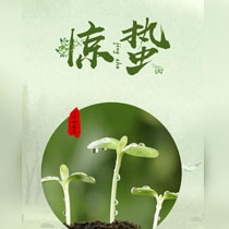 Jingzhe wallpaper collection