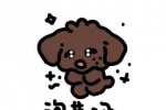 巧克力小狗泡菜汤表情包