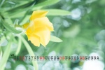 April 2021 small fresh green floral desktop calendar wallpaper