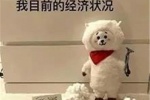 我目前的经济状况