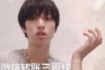 严浩翔微信转账三百块表情包