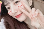 Pei Xiuzhi's cute rabbit ears avatar