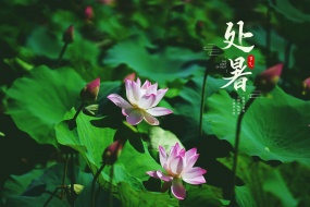 Twenty-Four Solar Terms Desktop Wallpaper Pictures