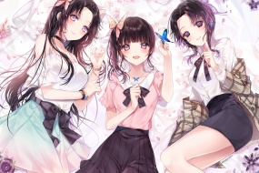 Anime Demon Slayer: Butterfly Ninja Wallpaper Pictures