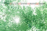 Simple and fresh calendar wallpaper for December 2021
