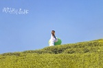 Reuters photo of Yu Shuxin and her two having a small forest meal