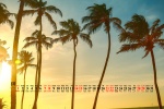 August 2021 island coconut tree desktop calendar wallpaper