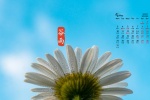May 2021 small fresh scenery desktop calendar wallpaper