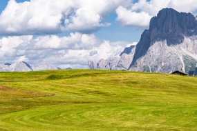 春天广袤的草原风光图片桌面壁纸