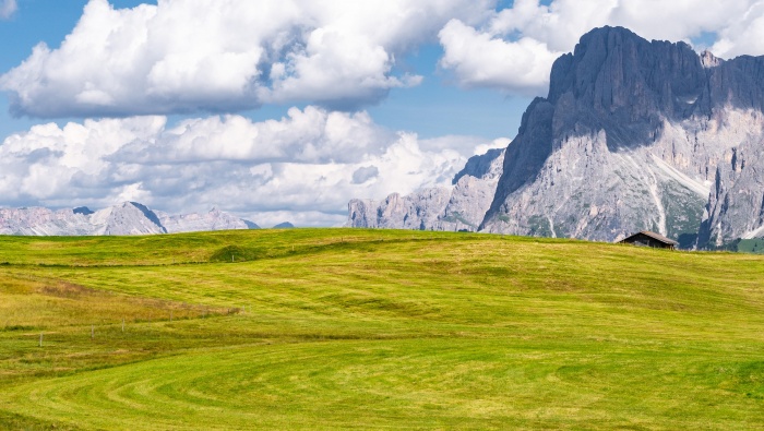 Spring vast grassland scenery pictures desktop wallpaper