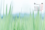 April 2022 green scenery eye protection computer calendar wallpaper