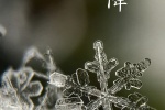 Traditional solar term frost mobile wallpaper