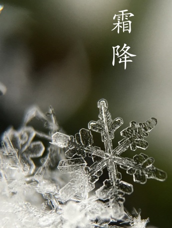 传统节气之霜降手机壁纸