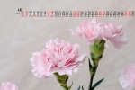 May 2021 Mother's Day Desktop Calendar Wallpaper