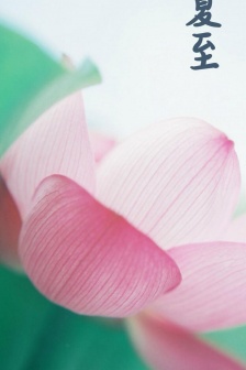 Summer Solstice Pictures 24 Solar Terms Summer Solstice Pictures