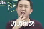 涛涛困惑 涛涛不解