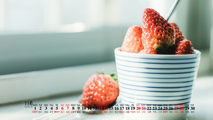 2021年11月小清新简约日历壁纸图片