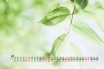 June 2021 green eye protection landscape desktop calendar wallpaper