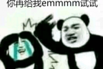 你再给我emmmm试试