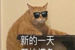 新的一天开始摸鱼